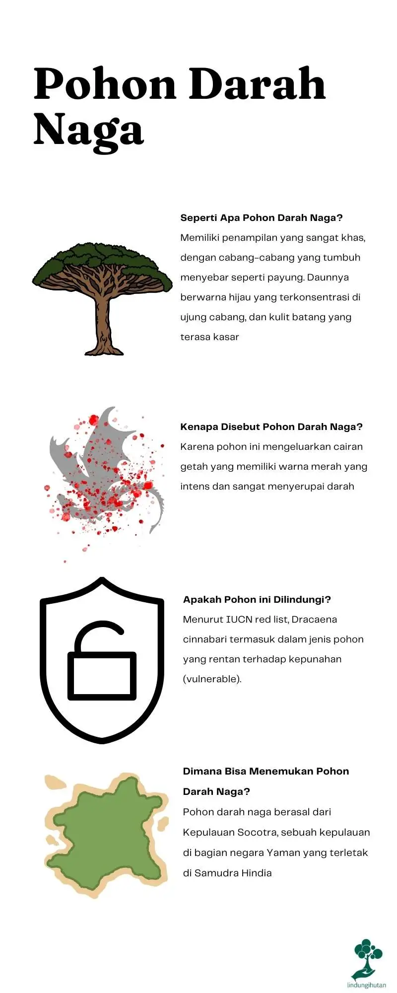 Pohon darah naga