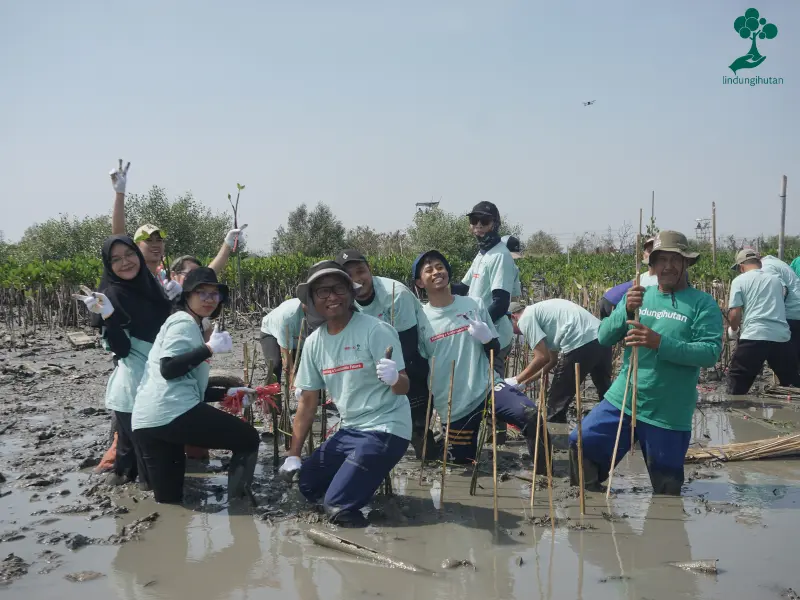 PT MPI tanam ribuan mangrove