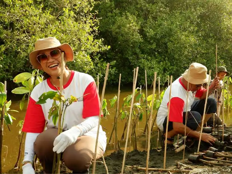 Penanaman mangrove DUTATRANS Grup di Pantai Mangunharjo