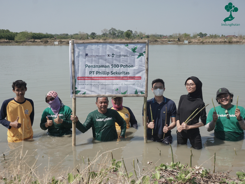 Phillip-Sekuritas-menanam-mangrove