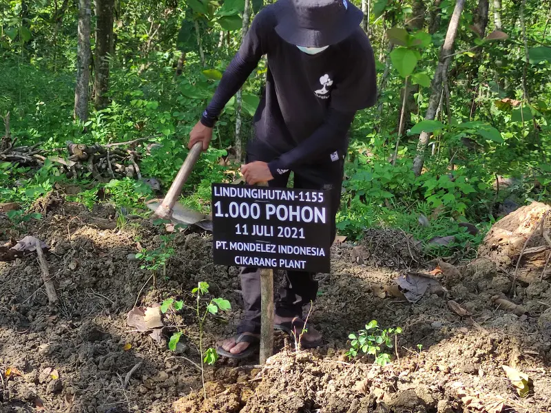 PT Mondelēz Indonesia Cikarang Plant Tanam 1.000 Pohon di Kota Semarang 83 Aksi peduli lingkungan PT Mondelēz Indonesia