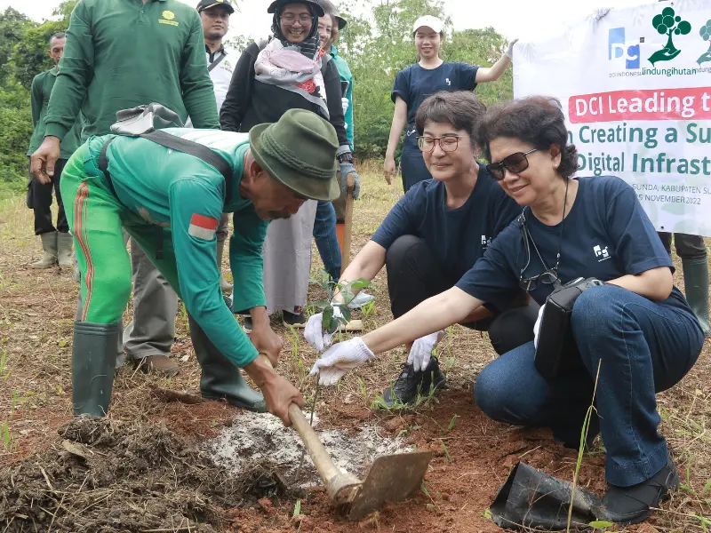 penanaman pohon jeruju aceh oleh DCI