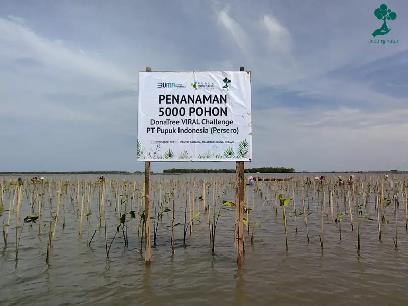 Program penghijauan PT Pupuk Indonesia