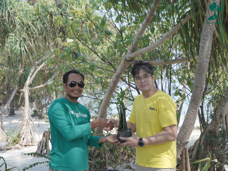 AsetKu adakan penanaman mangrove