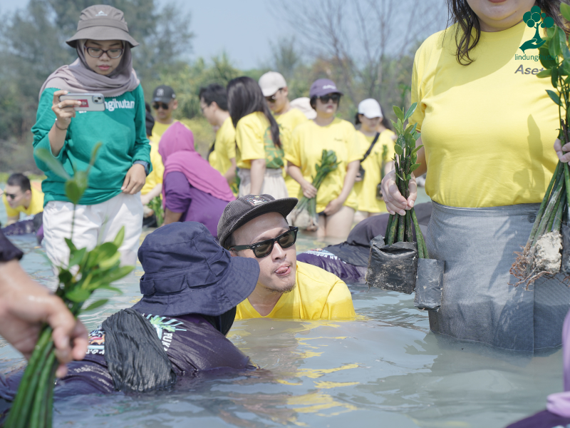 AsetKu menanam mangrove