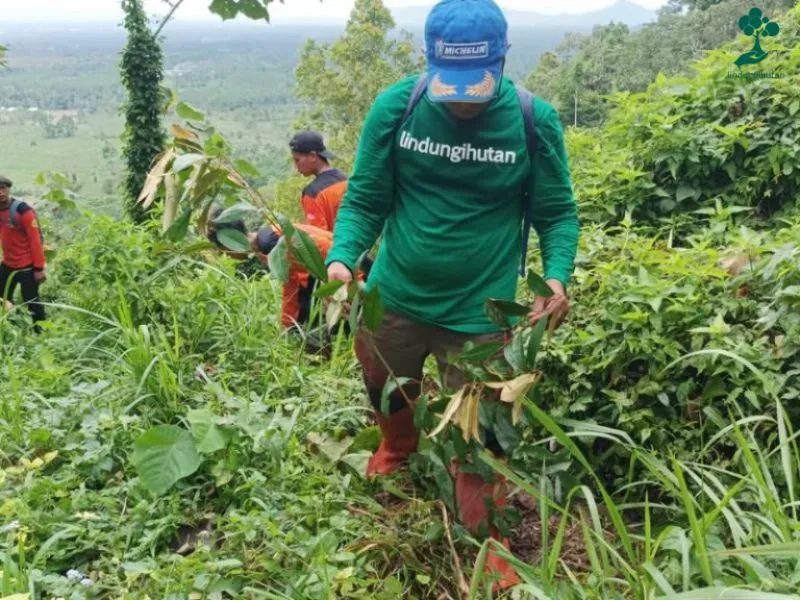 Gunung Sawur Lumajang