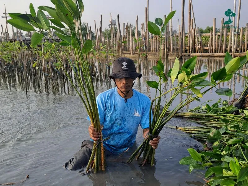 Hari Menanam Pohon Indonesia (2)