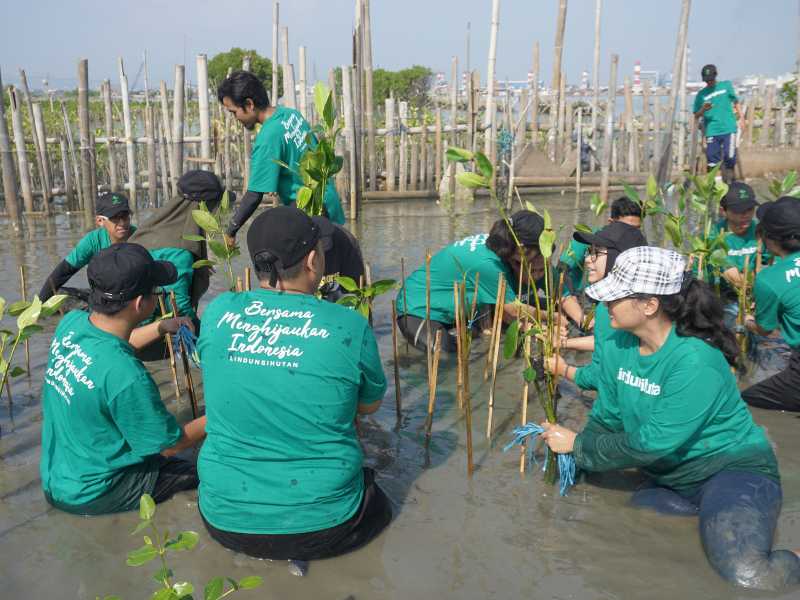 Hari Menanam Pohon Nasional