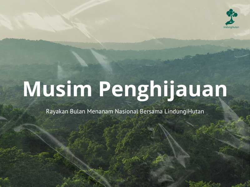Hari Pohon Sedunia
