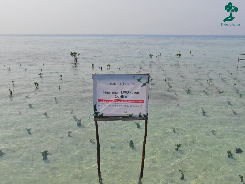 Penanaman mangrove AsetKu di Pulau Pari Kepulauan Seribu