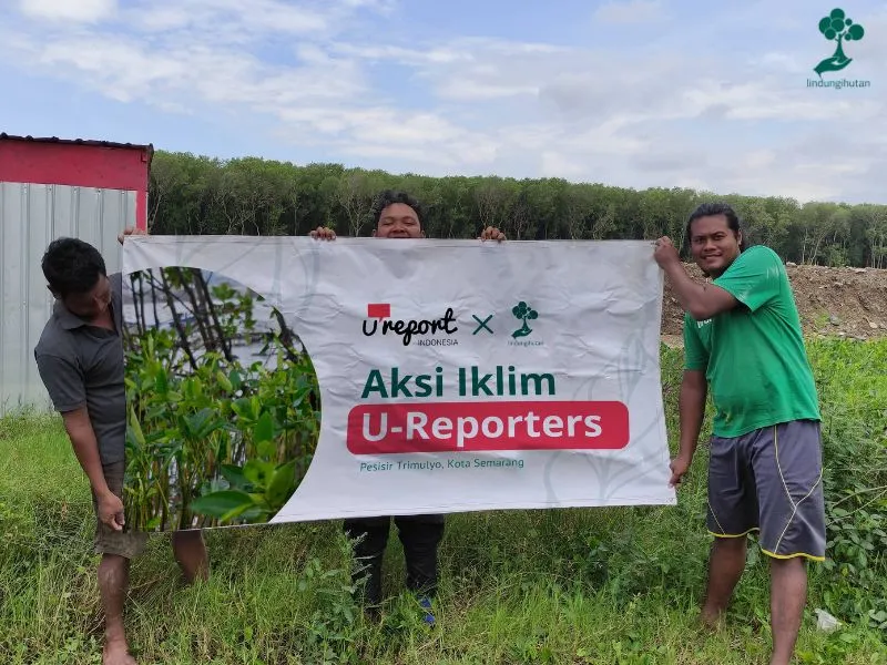 Penanaman mangrove UNICHEF U Report Indonesia