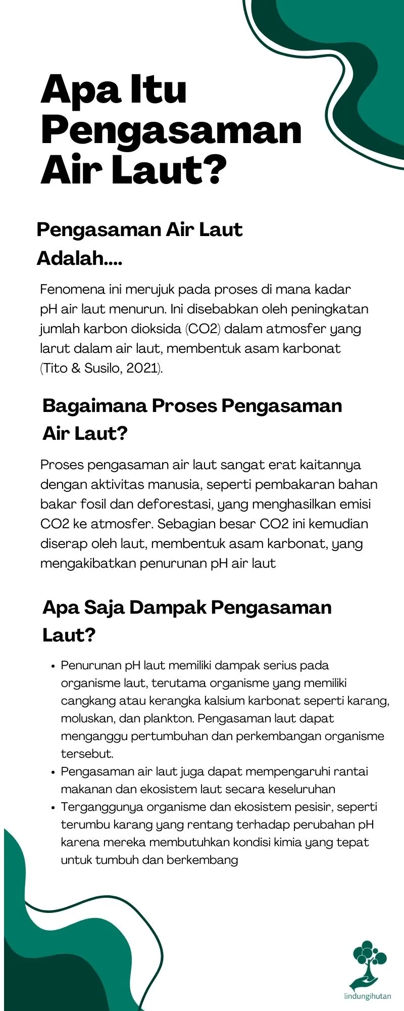 Pengasaman air laut 