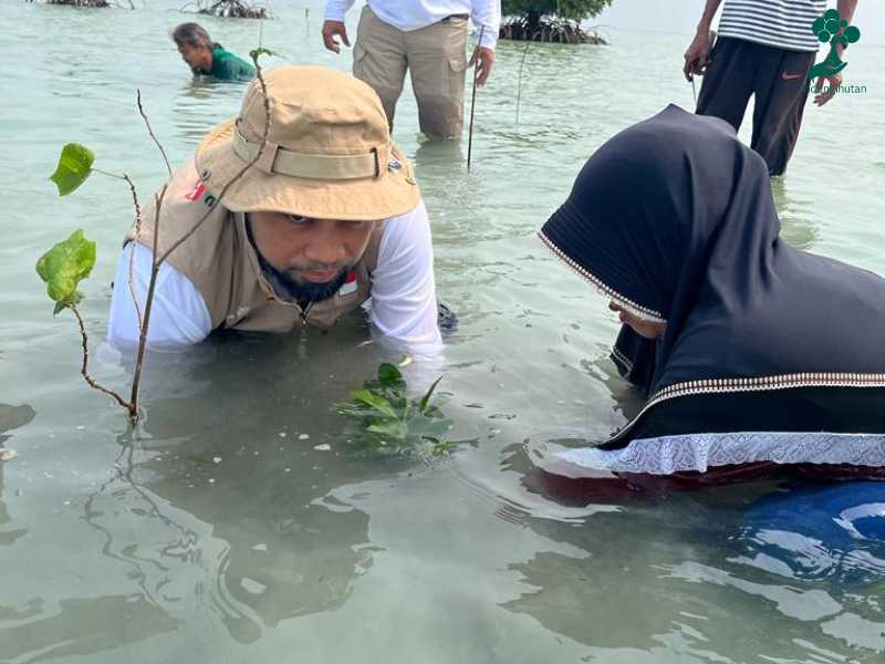 Petrochina menanam mangrove di Pulau Pari