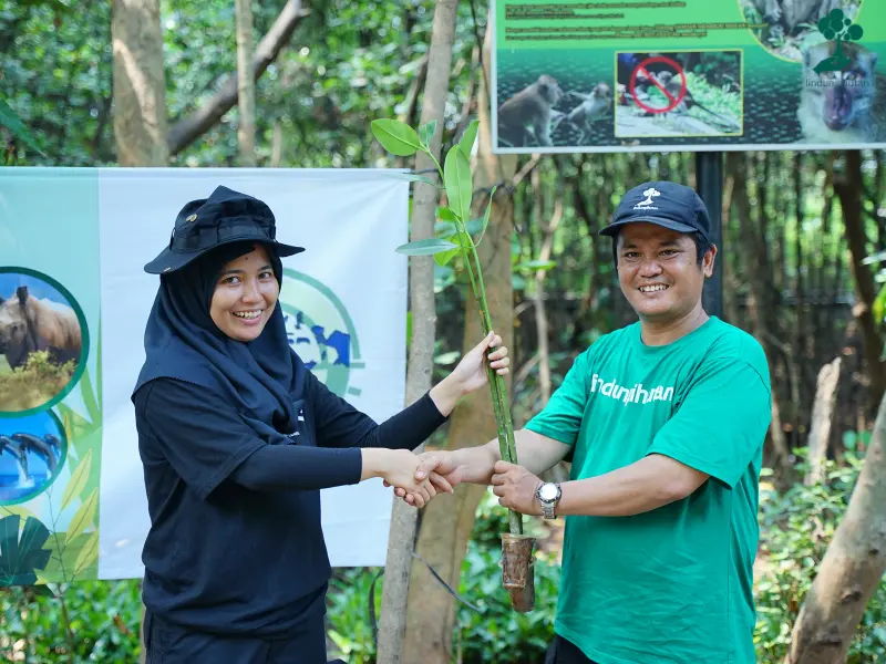 Serah terima bibit mangrove dari Logos Property