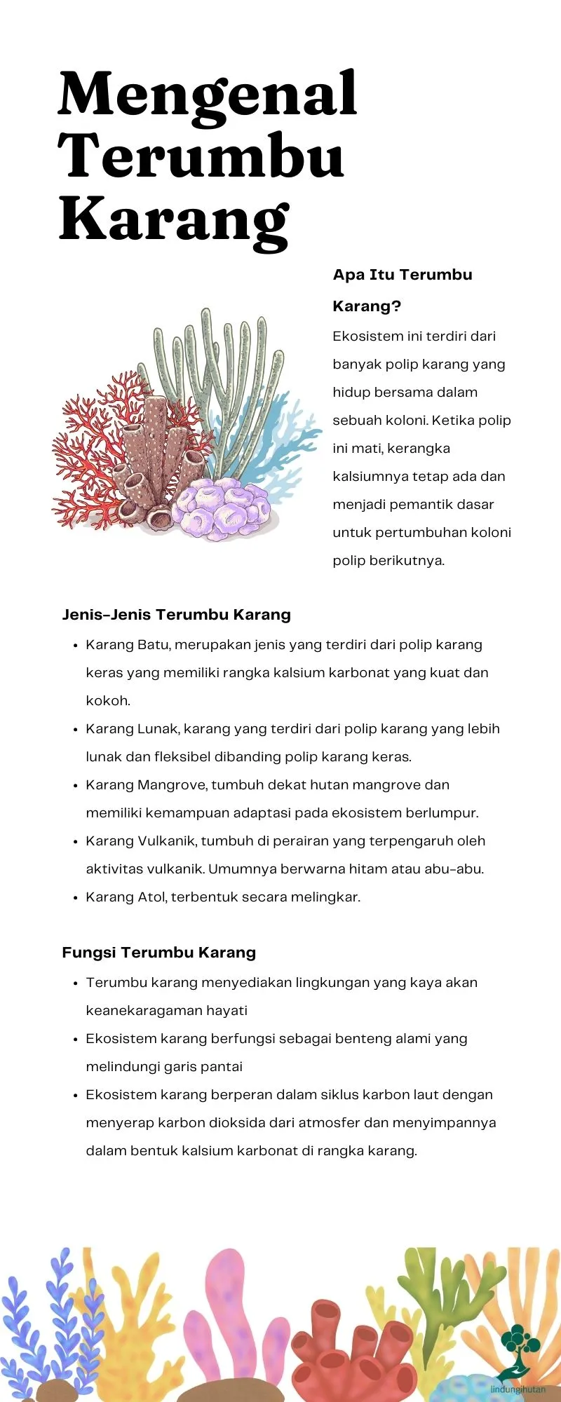terumbu karang adalah