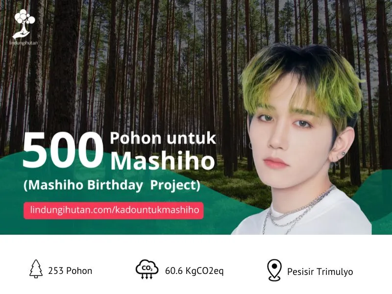 500 Pohon untuk Mashiho