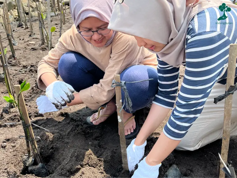 kegiatan penanaman mangrove SR Indonesia