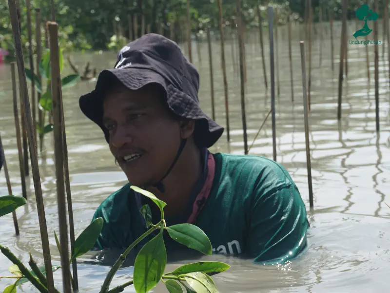 Mitra Petani penanaman mangrove di Bekasi