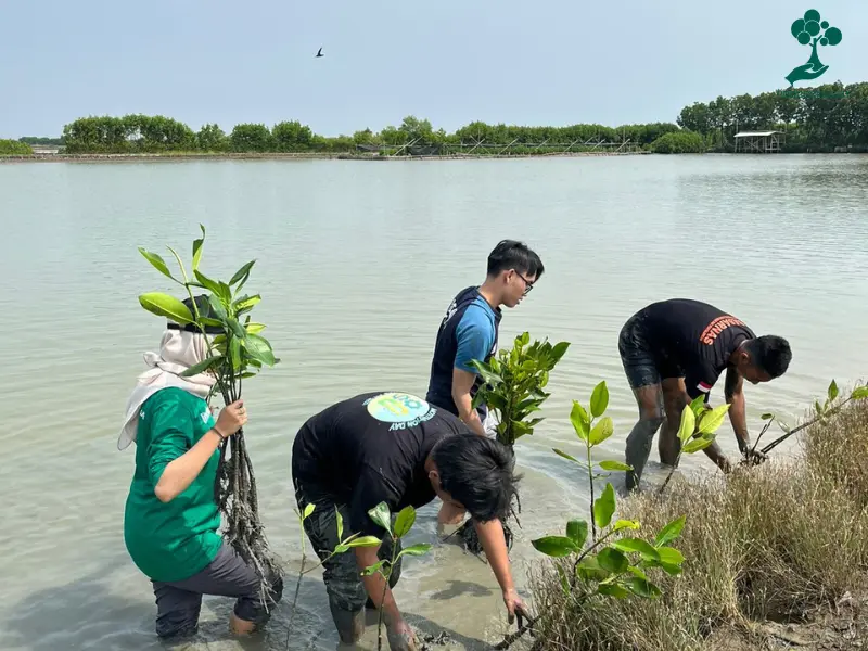 Penanaman di Ekowisata Mangrove Caplok Barong