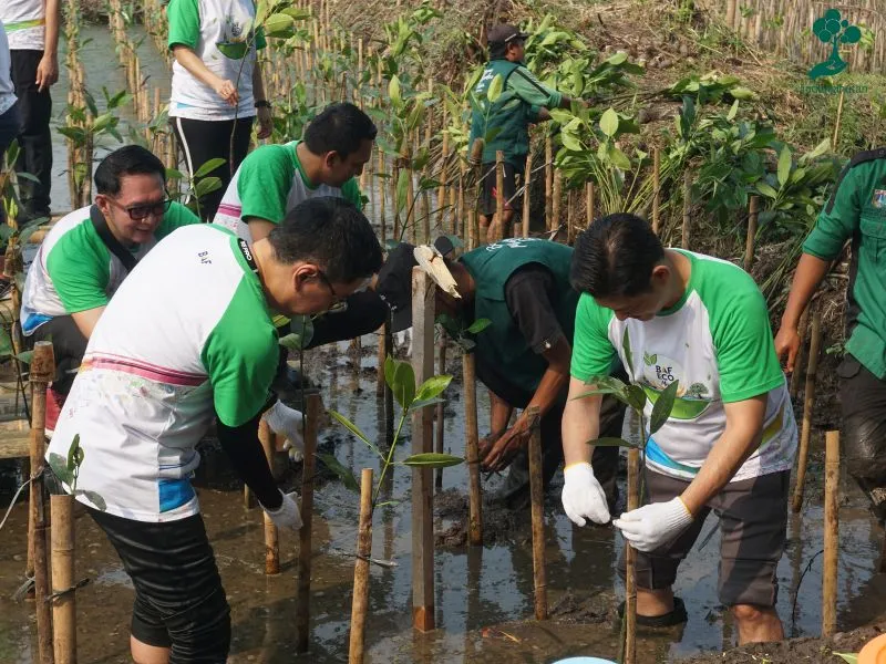 Penanaman mangrove Busan Auto Finance BAF