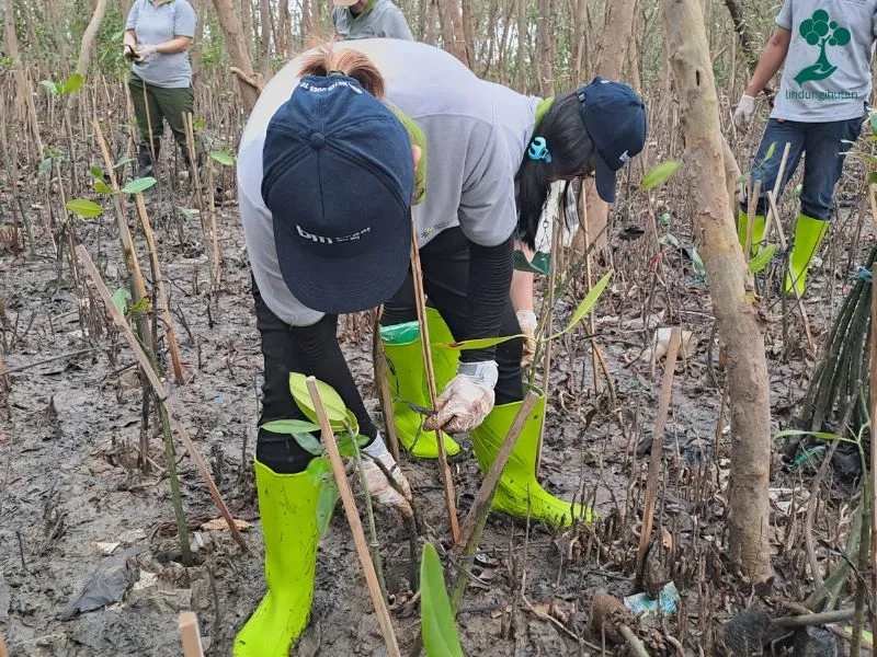 Penanaman mangrove PT Behn Meyer