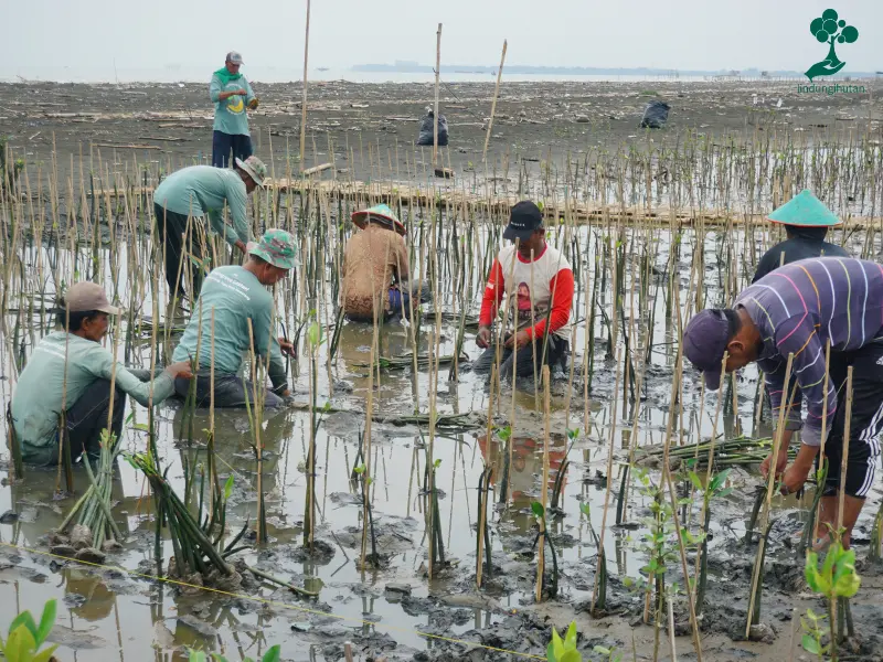 kelompok tani mangrove lestari mangynharjo