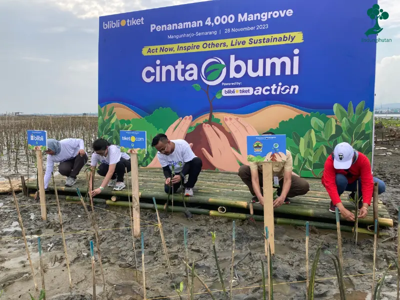 Penanaman simbolis bibit mangrove gerakan blibli tiket action