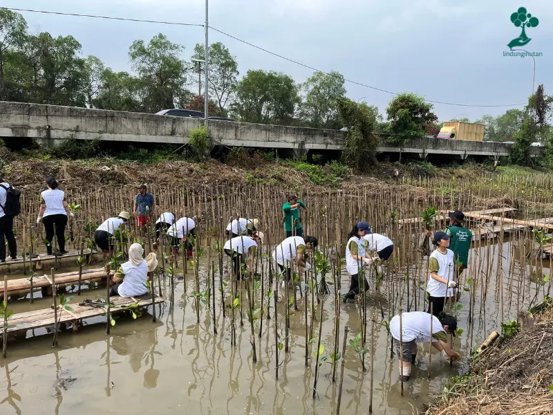 upaya penghijauan PT Mitra Adiperkasa Tbk