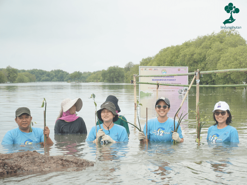 AXA Insurance tanam mangrove di Bekasi