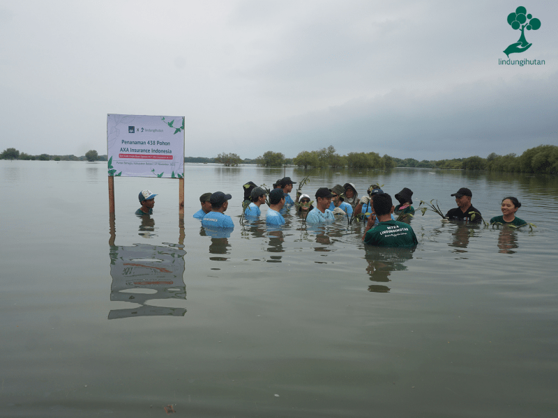 Kegiatan penghijauan AXA Insurance