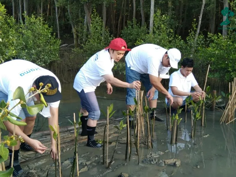 Asuransi Rama menanam mangrove di Trimulyo Semarang