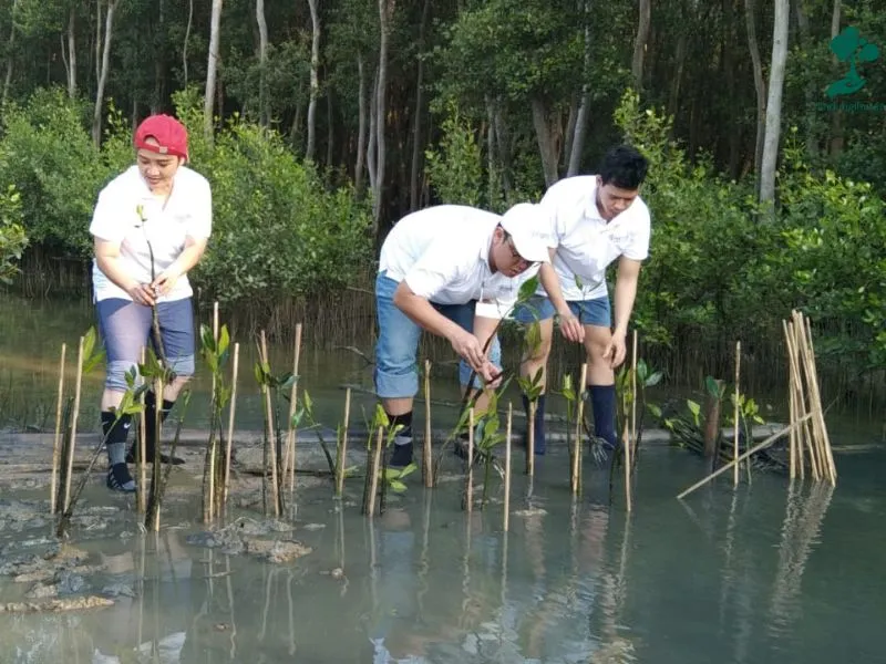 Penanaman mangrove Asuransi Rama Satria Wibawa