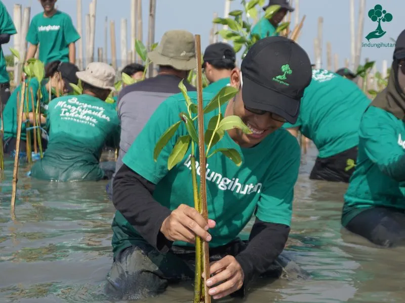 Program PilihLestari LindungiHutan