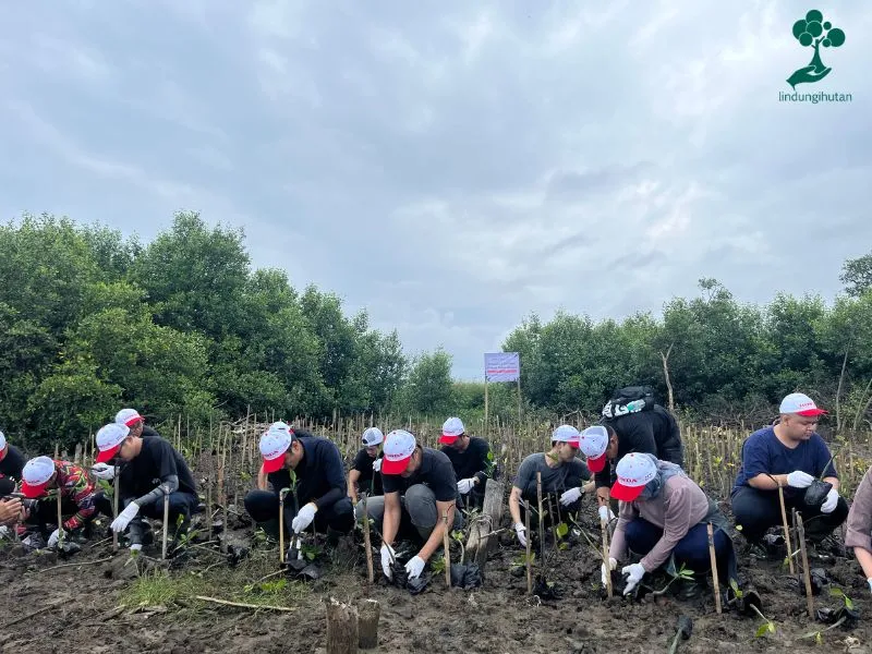 Honda Trading Indonesia tanam ribuan mangrove