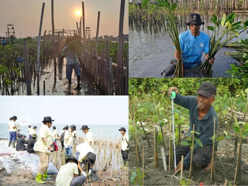 Konsultan CSR LindungiHutan