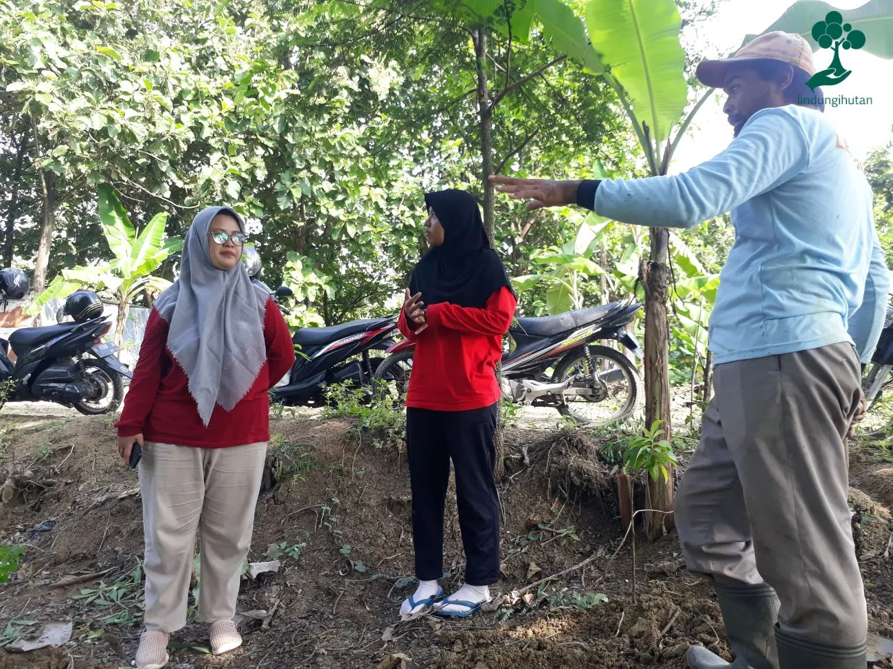 Lokasi Penanaman LindungiHutan Jabungan Semarang