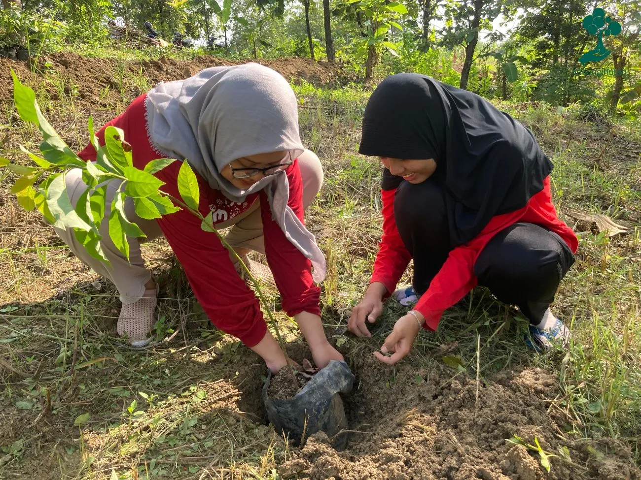 Program Gabung Aksi LindungiHutan