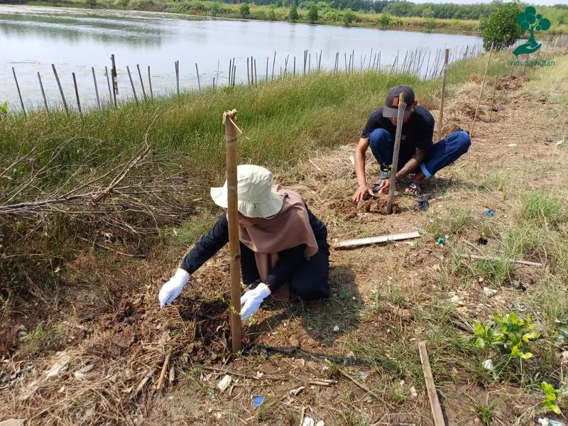 Program Gabung Aksi LindungiHutan 1
