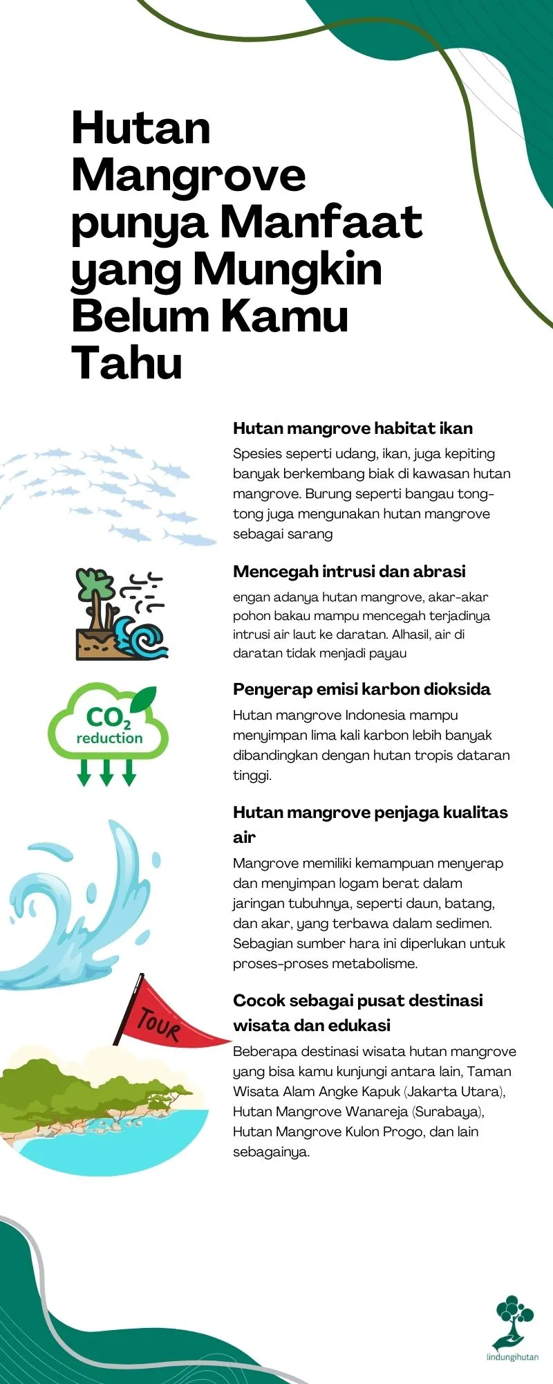 Manfaat hutan mangrove