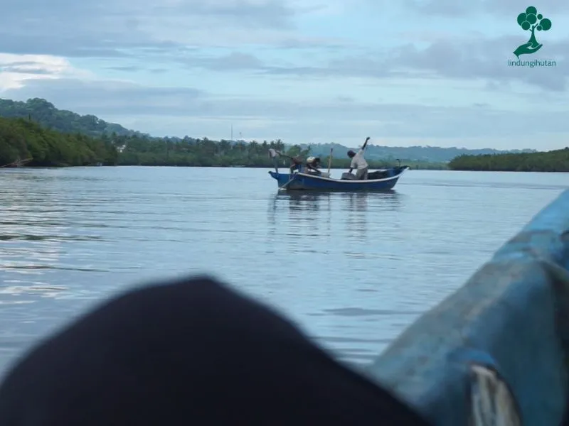 Nelayan di hutan mangrove