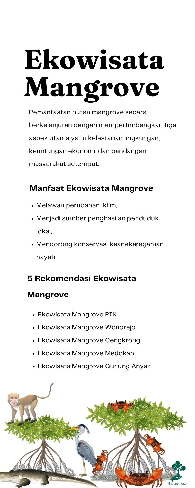 Apa yang dimaksud dengan ekowisata mangrove