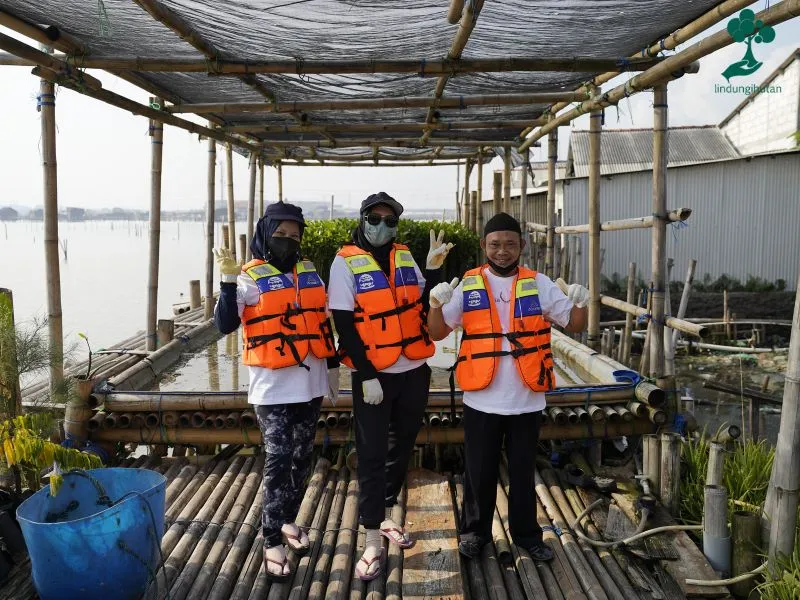Arkadia Works Wujudkan Komitmen Lingkungan, Tanam +2.000 Mangrove 81 Pembibitan mangrove Tambakrejo