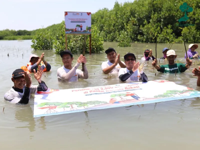 Bank Danamon menanam mangrove di Bekasi
