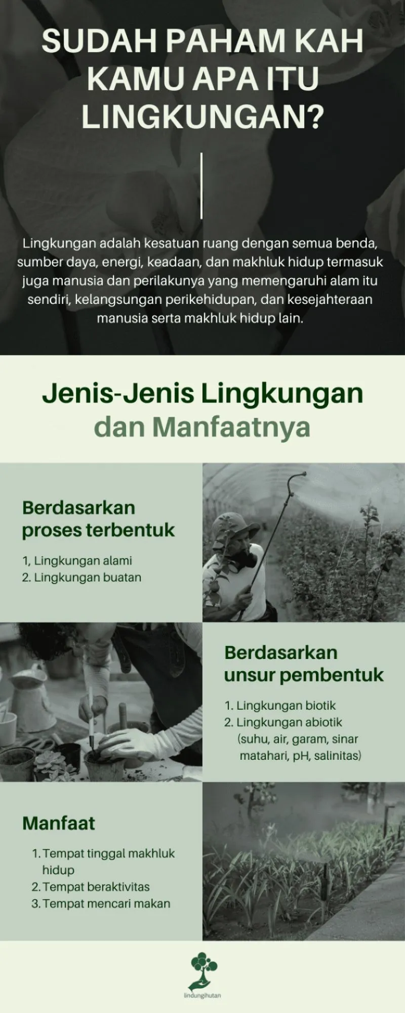 Lingkungan Adalah: Pengertian Para Ahli, Jenis dan Manfaat 82 lingkungan adalah