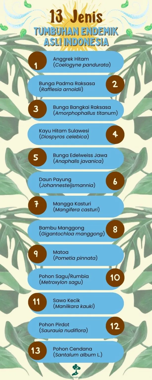 Infografis tumbuhan endemik asal Indonesia