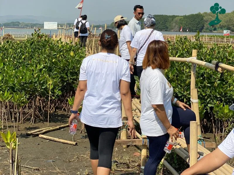 Lokasi penanaman mangrove Mangunharjo Semarang