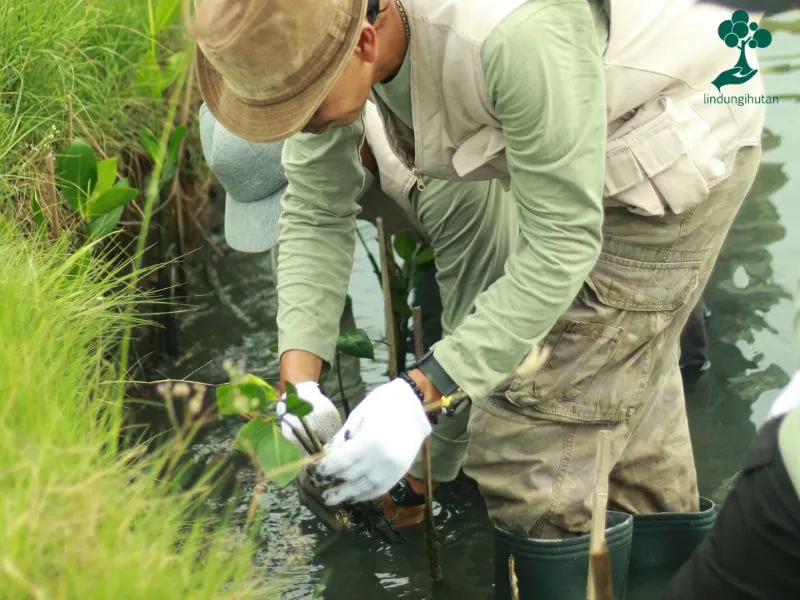 PT National Label Umas Daya menanam mangrove