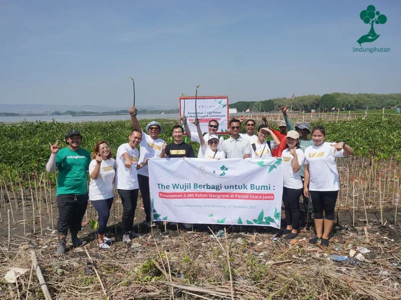 The Wujil Resort menanam mangrove di Pantai Mangunharjo Semarang 1