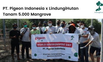 PT. Pigeon Indonesisa tanam 5.000 pohon mangrove di kabupaten Bekasi.