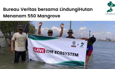 LindungiHutan bersama Bureau Veritas Indonesia menanam 555 mangrove di pesisir utara Jawa.